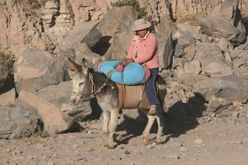 Peru 0794